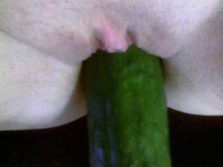 wow! that is a good sized cucumber....would love to see her take a bigger one.