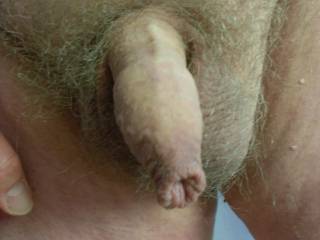 small dick with long 4skin in a hairy bush