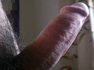 My cock
