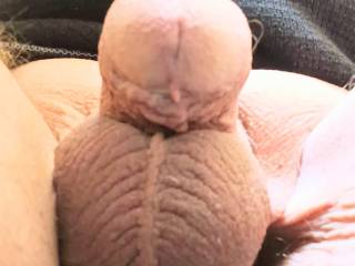 Cock said it\'s to cold out hir lol 21 degrees 🤣