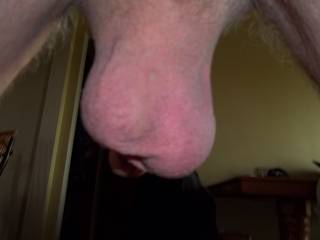 back view of my balls