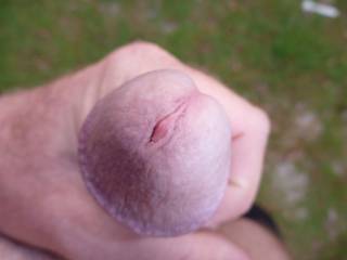 My dick ;)