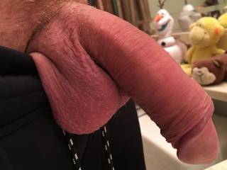 Favorite friend showing off his large cock for us in chat room