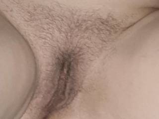 pussy