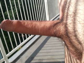 Who wants to get on their knees and suck on this, on my balcony?