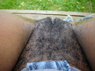 Bush grew in nicely,time to shave the kitty again.