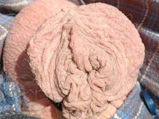 Sweet cock mmm who wants to help him out 👀