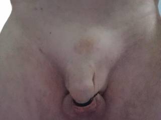 My Tied Cock Foreskin For Your Pleasure Do You Like My Efforts  ?...🤔🤔🤔