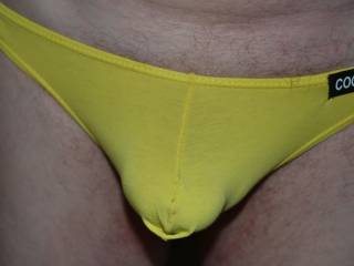 If I drop my thong can you give me a hard wanking session?