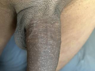 Cock