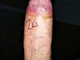 My big dick in all its glory