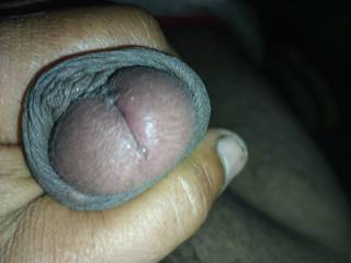 no precum leaking yet anyone wanna get it flowing?
