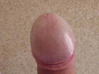 It's a nice and sweet nipple, perfectly shapped, big size, just perfect for me to suck before to go to bed, every night...