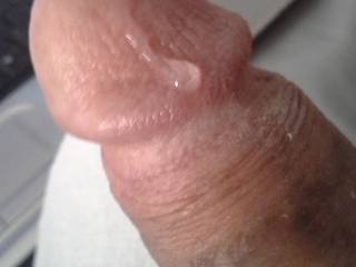 I seriously need a woman to slurp this precum up and not let it go to waste!!!