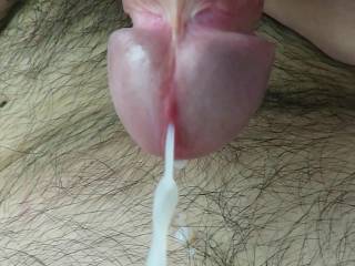 Releasing my creamy cum ! I need a girl to help me to clean ! Interested ?