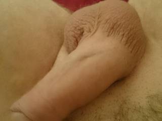 This cock is up for grabs for a bit any takers?