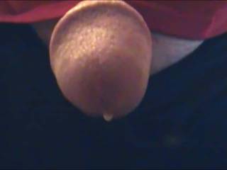 Will you milk precum from my cock?