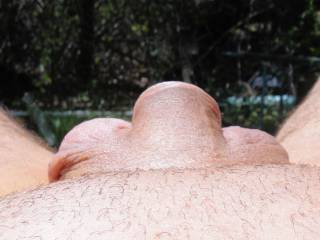 Just relaxing in the sun. Looks like it's time to get waxed again