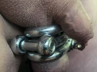 Picked up some shackles at B&Q yesterday.