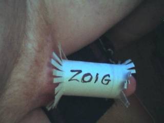 genuine zoig cock
