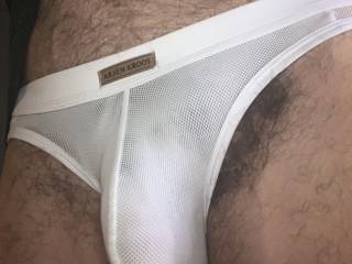 Hanging hairy in my briefs