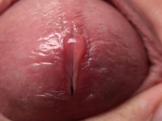 my cock before the cumshot! You can see the first drop! Do you like?!