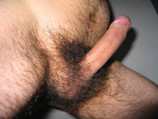 Do you like my hairy dick ?
