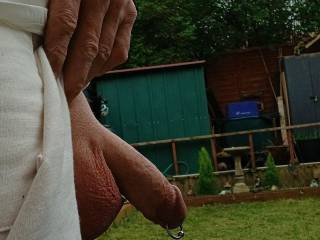 Just cut the grass