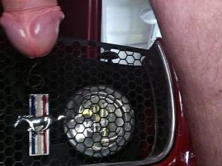 Hanging dick by car grill