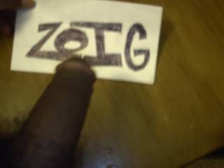 WITH THE ZOIG TAG