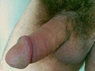 my hairy dick before i shaved him