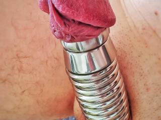 Another topview from my metal cock