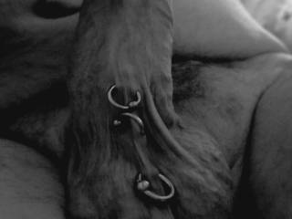 do YOU like my cock  ?