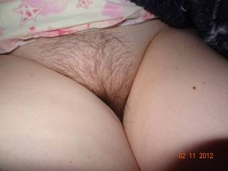 my pussy