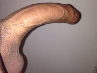 nice meaty and veiny cock for the ladies to suck, chew, and fuck