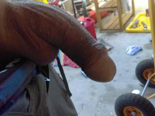 Cock