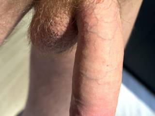 Who likes a big hairy cock ? 
Havenâ€™t shaved my balls and shaft for some weeks now. Maybe itâ€™s soon on time again :) or what do you think ?