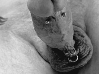 Enjoying my Camera and Cock