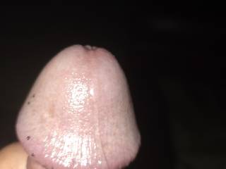 Anyone want a taste? Seems a waste to just let this sweet pre-cum ooze out of my hole and drip down my cock and onto my balls.  Perhaps someone can plug the hole with their tongue?