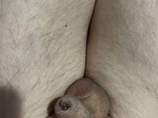 Who wants to hurt my cock?