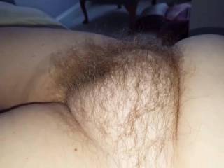 My wife, big hairy bush
