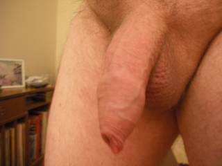 My uncut prick waiting for a hot mouth - male or female, I don't mind