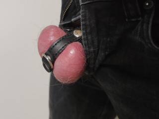 Balls gotta breathe even in bondage...