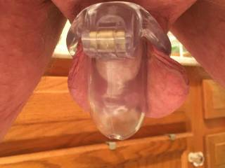 Even with the new smaller chastity cage that my wife bought for me (half the length of my old CB-6000S (the 'S' stands for SHORT) Stubby only fills the cage halfway!