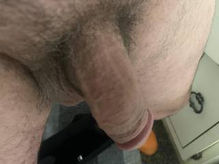 Just hanging , might be time for a shave !!