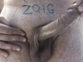 cock
