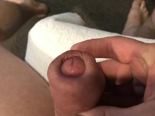 Playing with Pumped foreskin