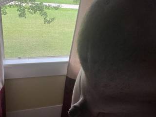 Standing by an open window hoping my neighbor is out there.