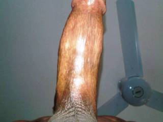 like the view?
