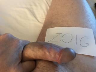 playtime with zoig.com